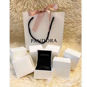 Pandora Charm & Ring  Boxes